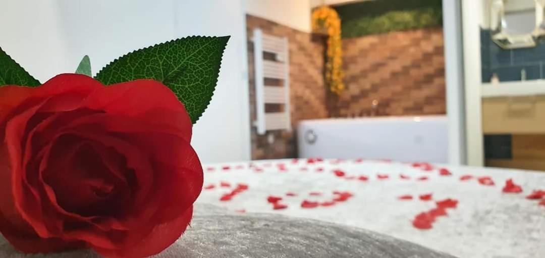 Love Rooms De La Presqu'Ile Saint-Vincent-de-Paul  ภายนอก รูปภาพ